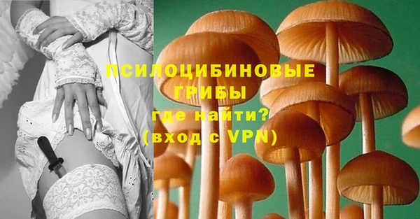 крисы Абдулино