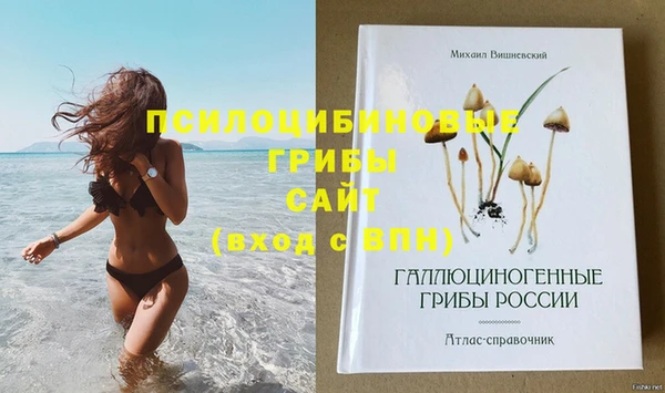 крисы Абдулино