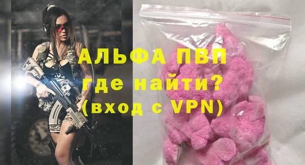 хмурый Дмитров