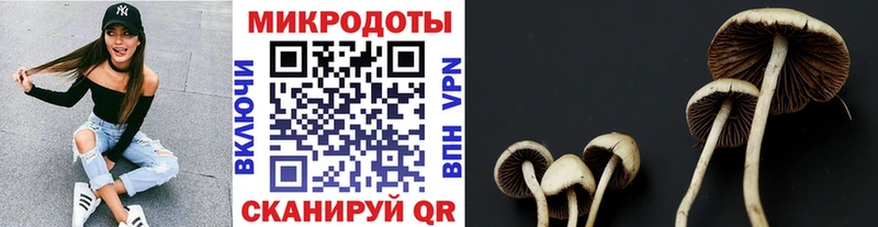 сколько стоит Симферополь Галлюциногенные грибы GOLDEN TEACHER